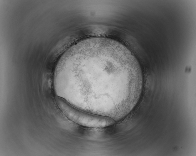 X0000115260313200911201712