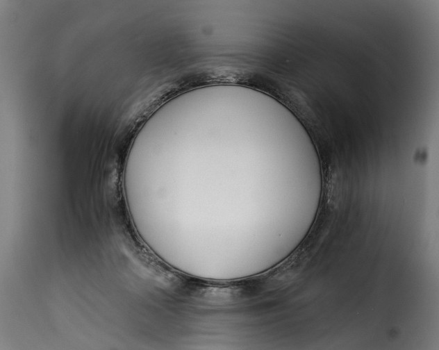 X0000115260314200911201712