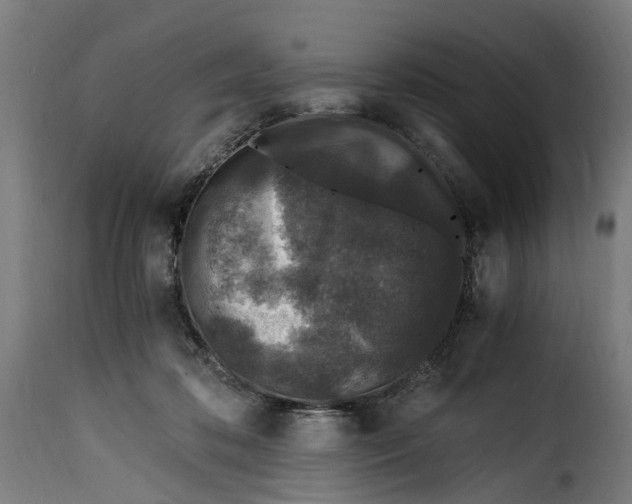 X0000115260316200911201712