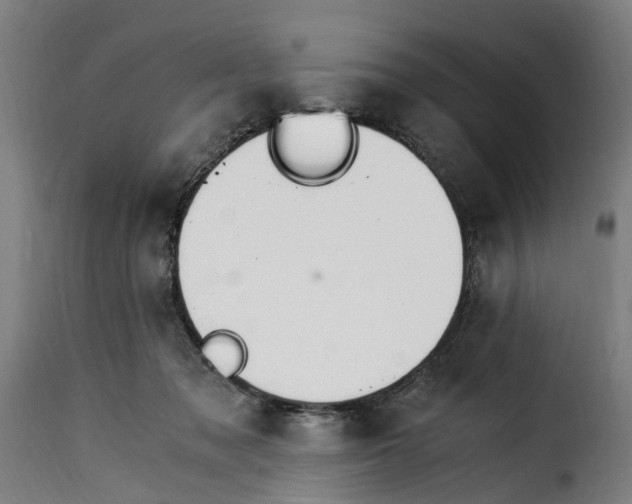 X0000115260317200911201712