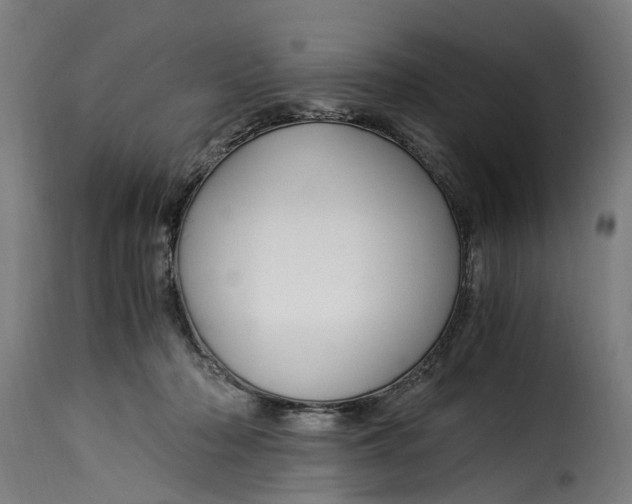 X0000115260318200911201712