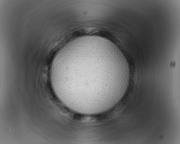 X0000115260319200911201712