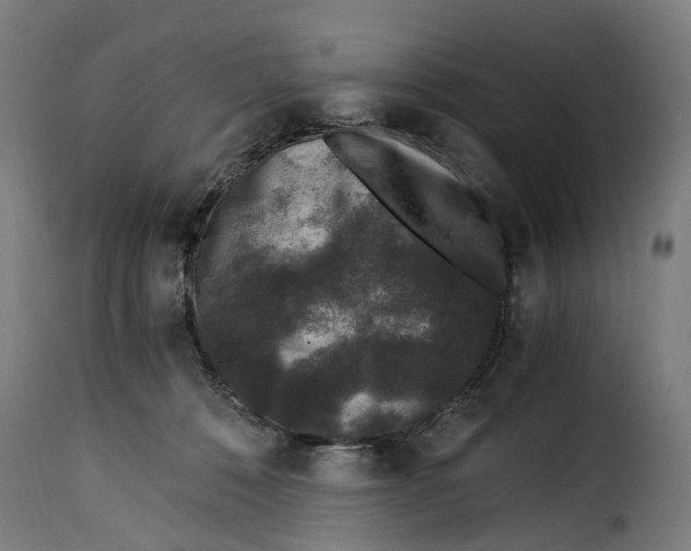 X0000115260320200911201712