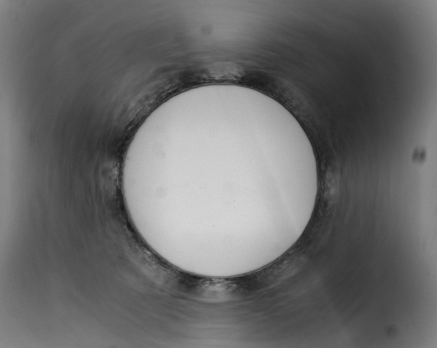 X0000115260321200911201712