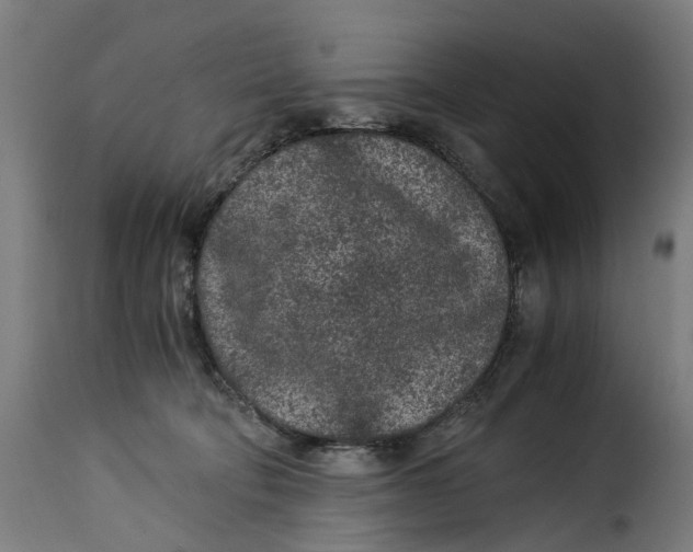 X0000115260322200911201712