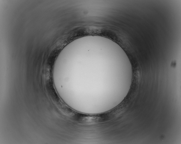 X0000115260323200911201712