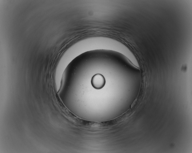 X0000115260325200911201712