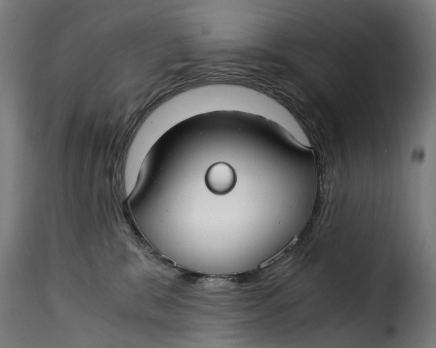 X0000115260327200911201712