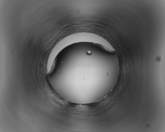 X0000115260328200911201712