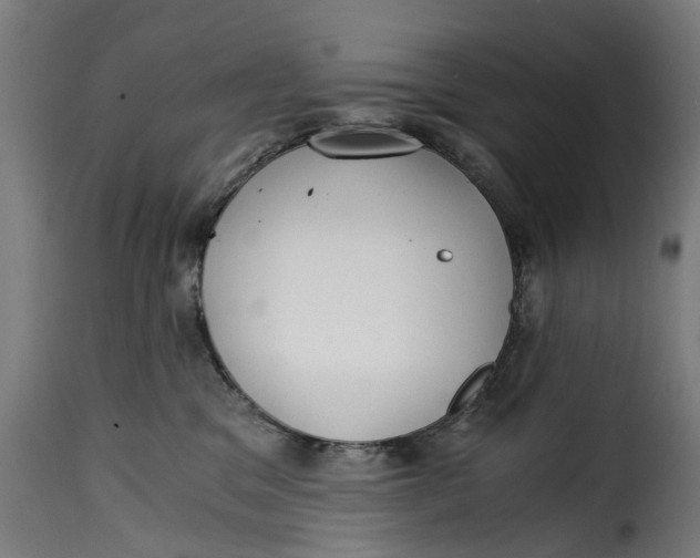 X0000115260329200911201712