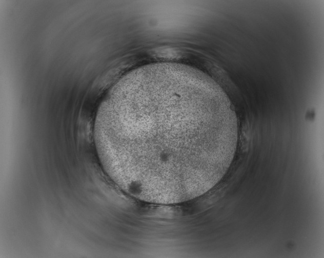 X0000115260330200911201711