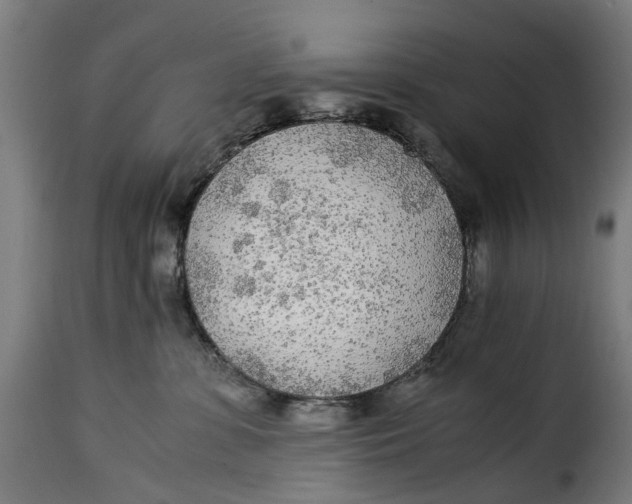X0000115260331200911201711