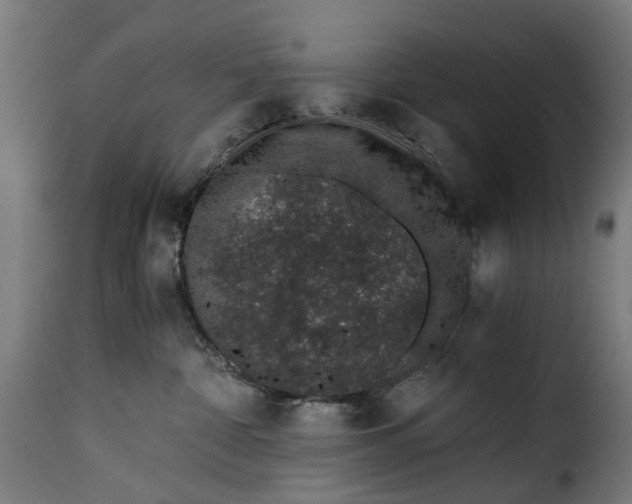 X0000115260332200911201711