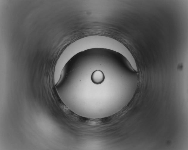 X0000115260333200911201711