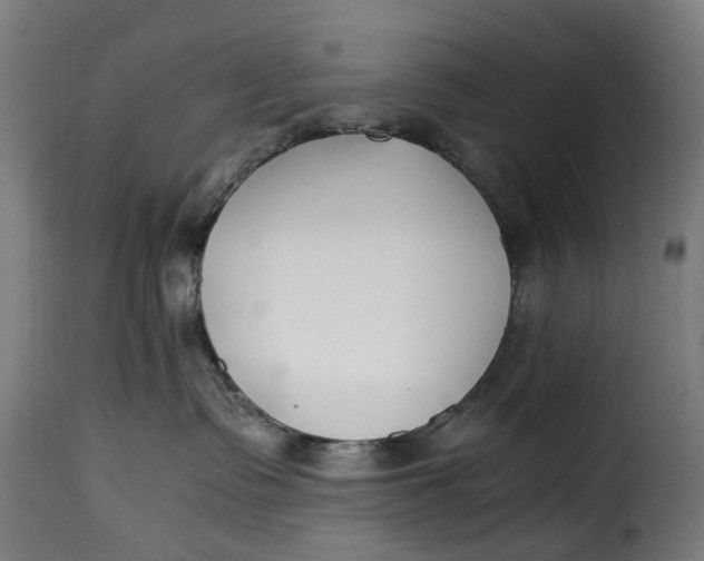 X0000115260335200911201711