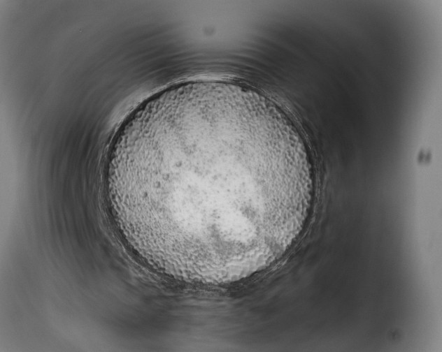 X0000115260337200911201711