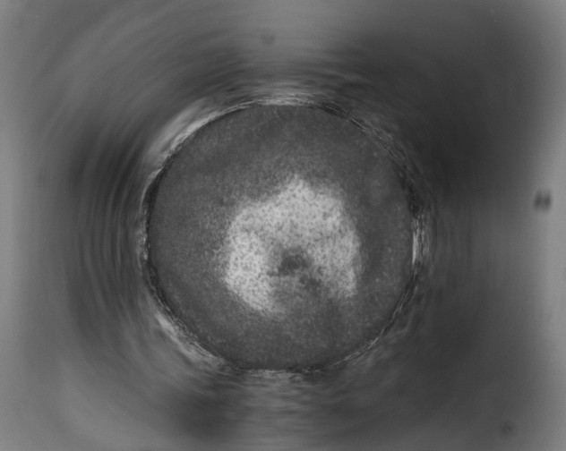 X0000115260339200911201711