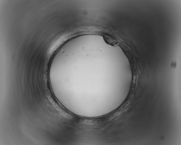 X0000115260341200911201711