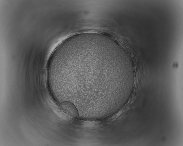 X0000115260342200911201711