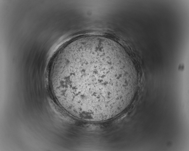 X0000115260343200911201711