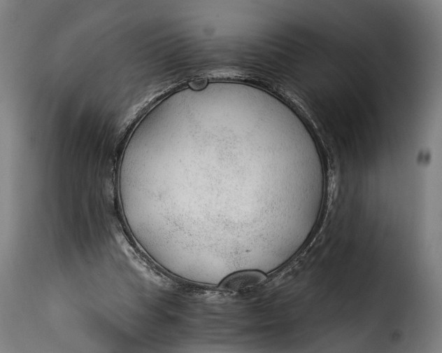 X0000115260345200911201711
