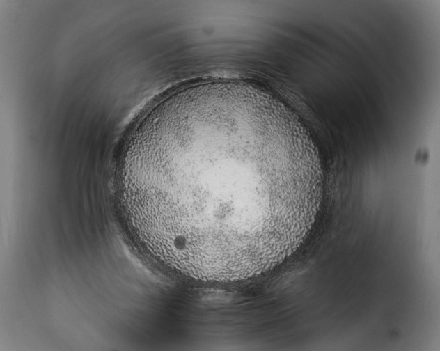 X0000115260347200911201711