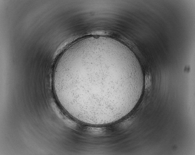 X0000115260349200911201711