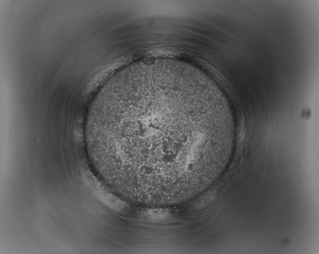 X0000115260353200911201711