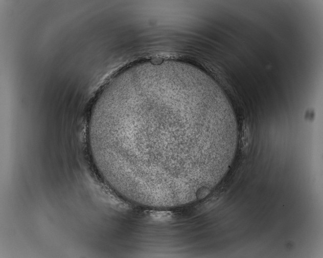 X0000115260355200911201711