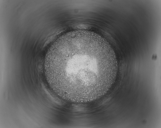 X0000115260359200911201711