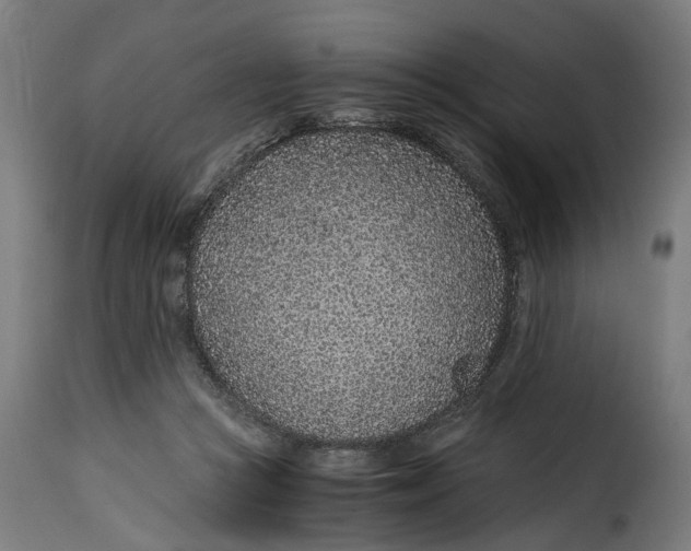 X0000115260361200911201711