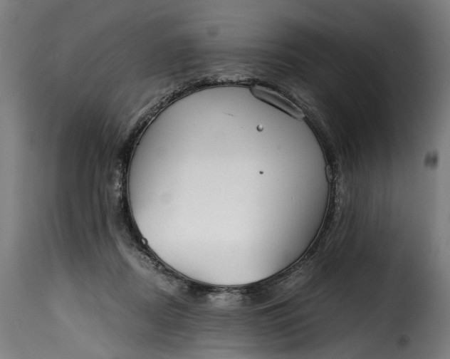 X0000115260362200911201711