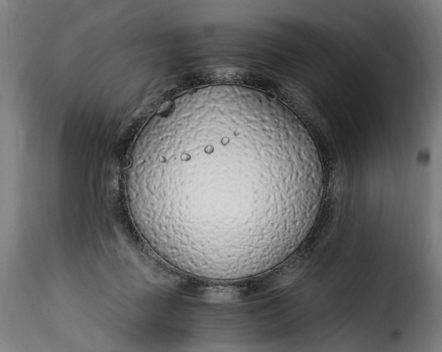 X0000115260363200911201711