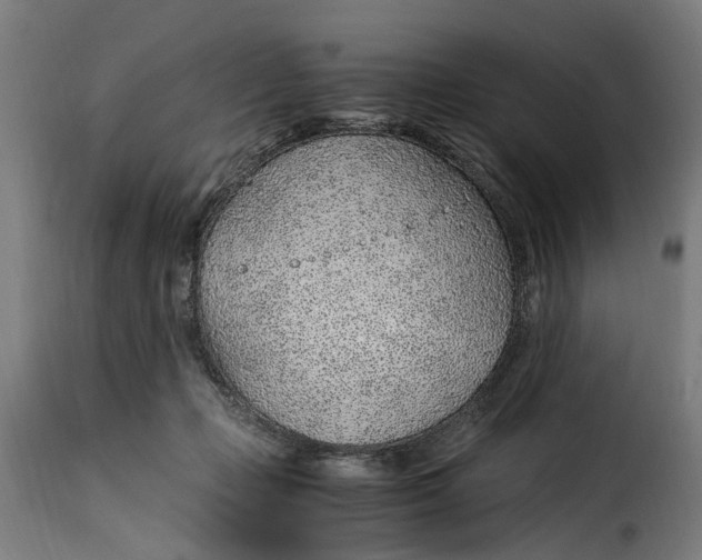 X0000115260365200911201711