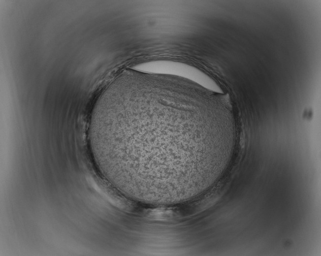 X0000115260366200911201711