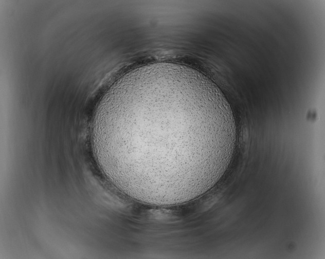 X0000115260367200911201711