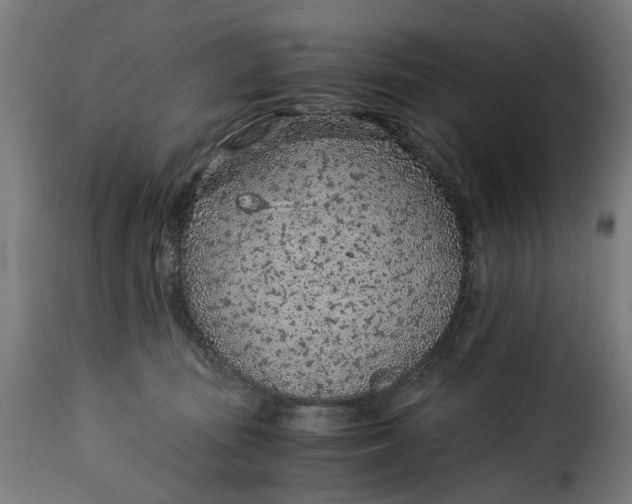 X0000115260371200911201711