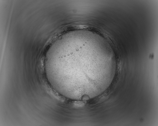 X0000115260373200911201711