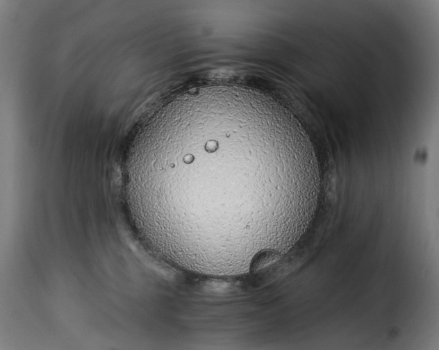 X0000115260375200911201711