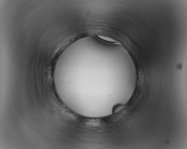X0000115260377200911201711