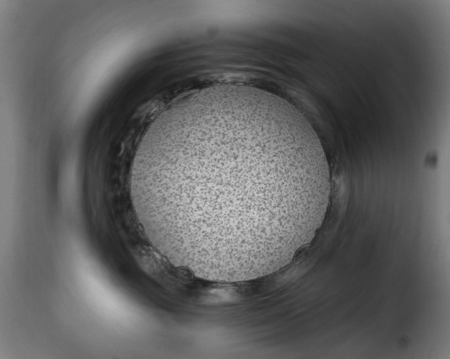 X0000115260381200911201711