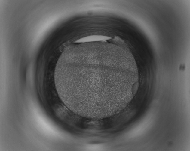 X0000115260383200911201711