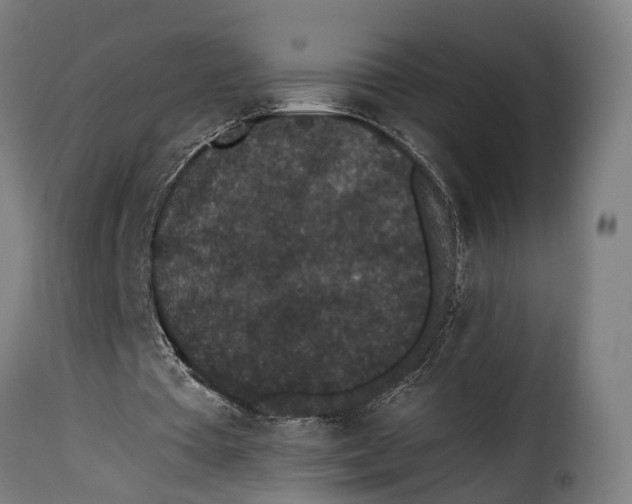 X0000115260385200911201710