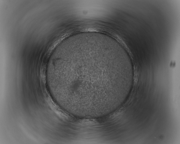X0000115260386200911201710
