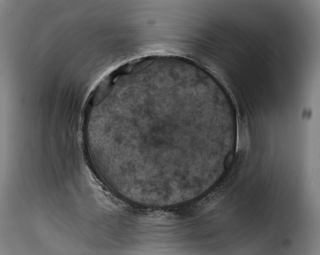 X0000115260387200911201710