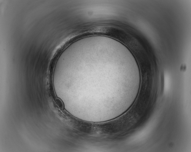 X0000115260388200911201710