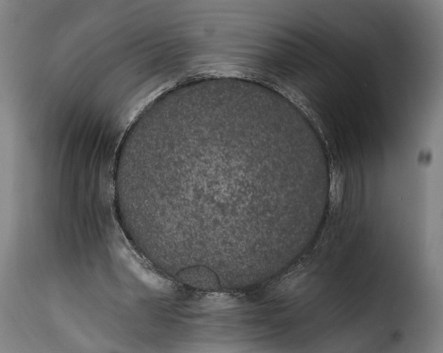 X0000115260390200911201710
