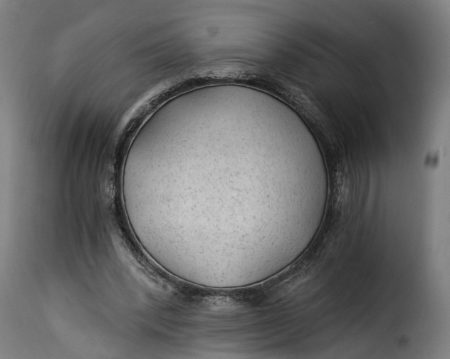X0000115260392200911201710