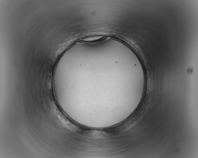 X0000115260393200911201710