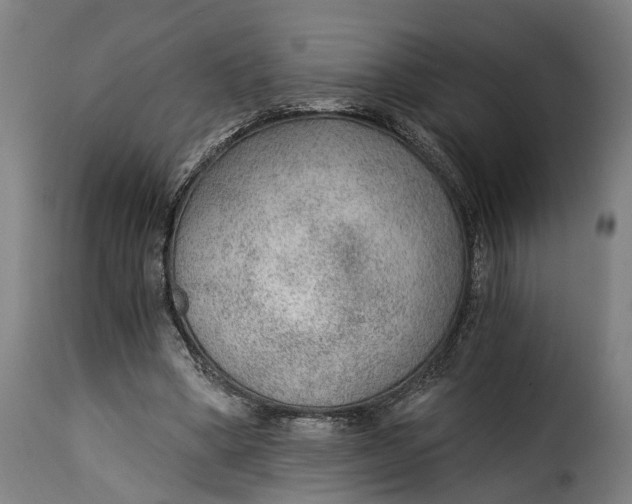 X0000115260394200911201710